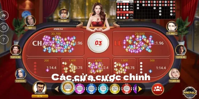 Các cửa cược chính trong game